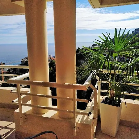 Montecarloview *