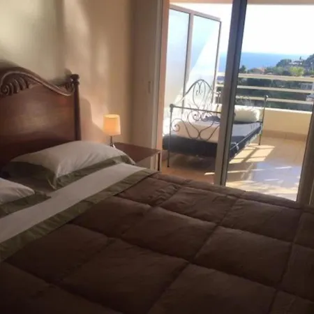 Montecarloview
